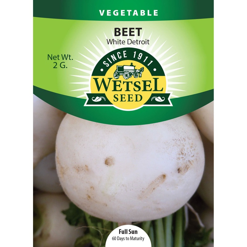 Wetsel Seed White Detroit Beet Seed