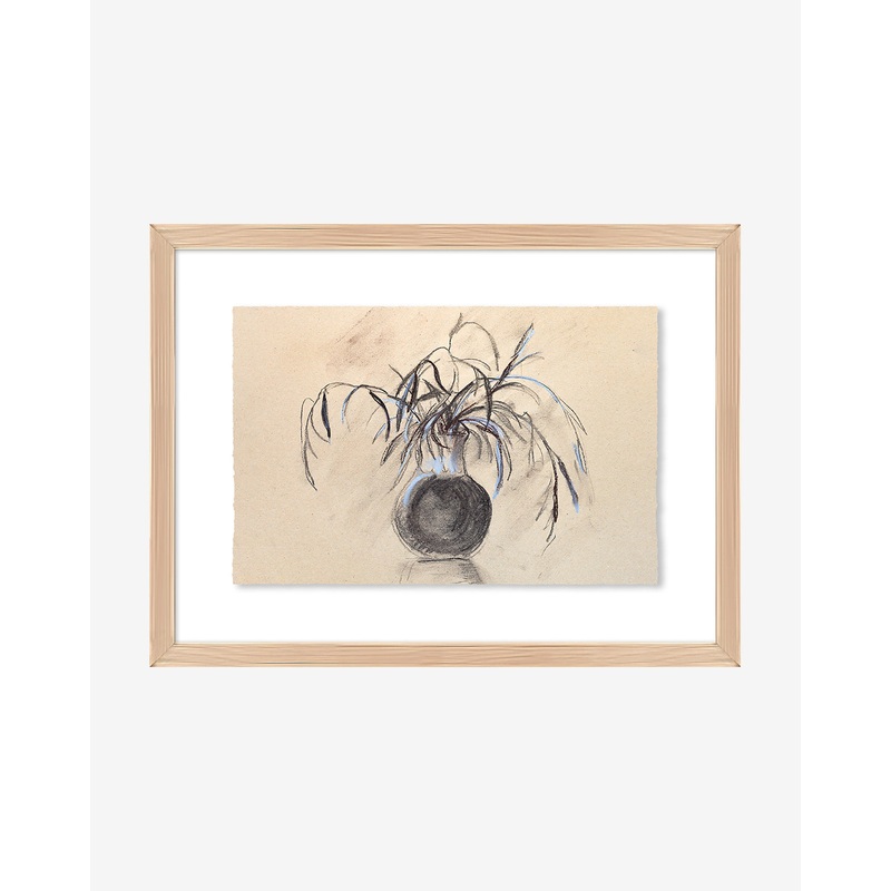 Willow Branches