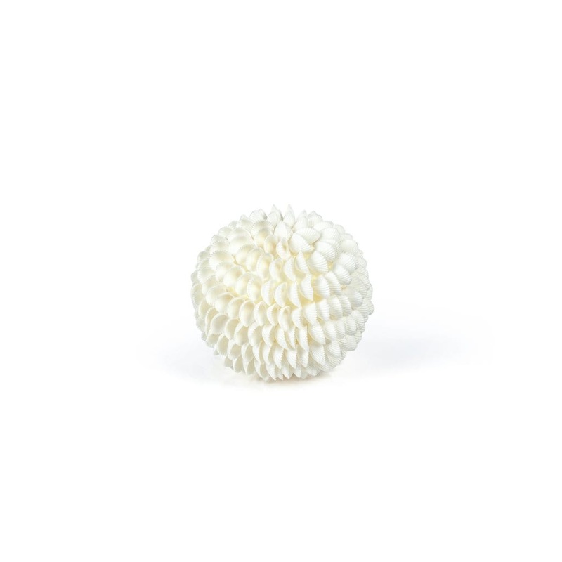 Clamrose Shell Ball
