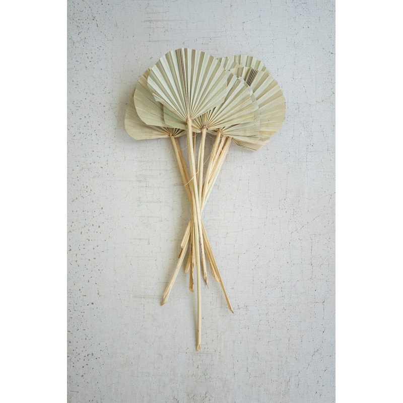 Dried Natural Rounded Palm Spears