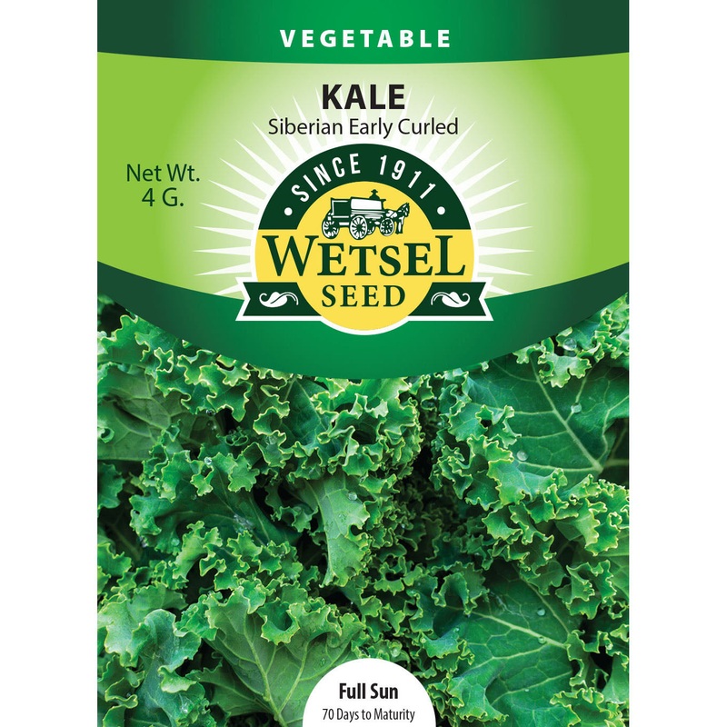 Wetsel Seed Kale Early Curled Siberian Seed