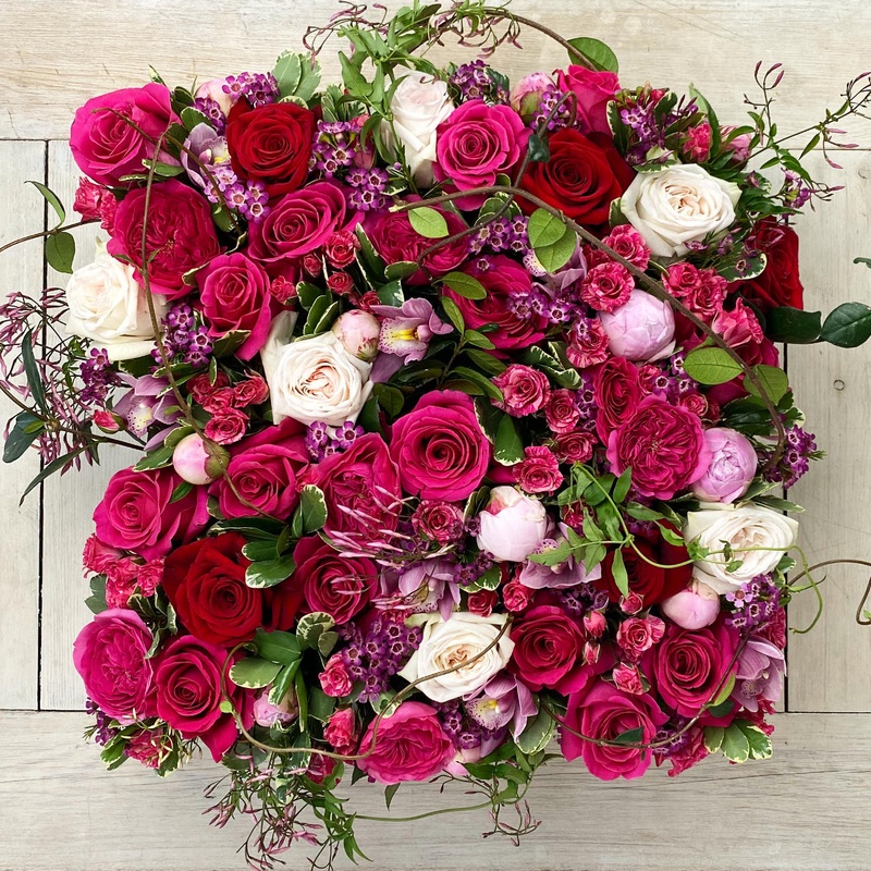 Premium Garden of Roses
