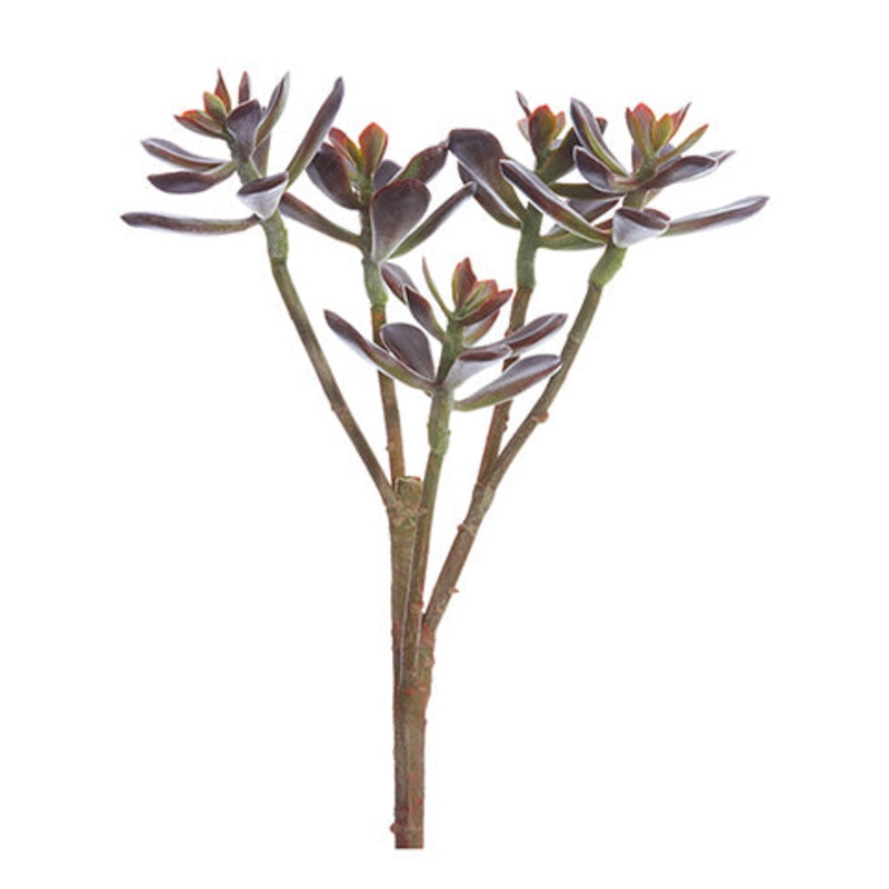 Soft Touch Jade Stem