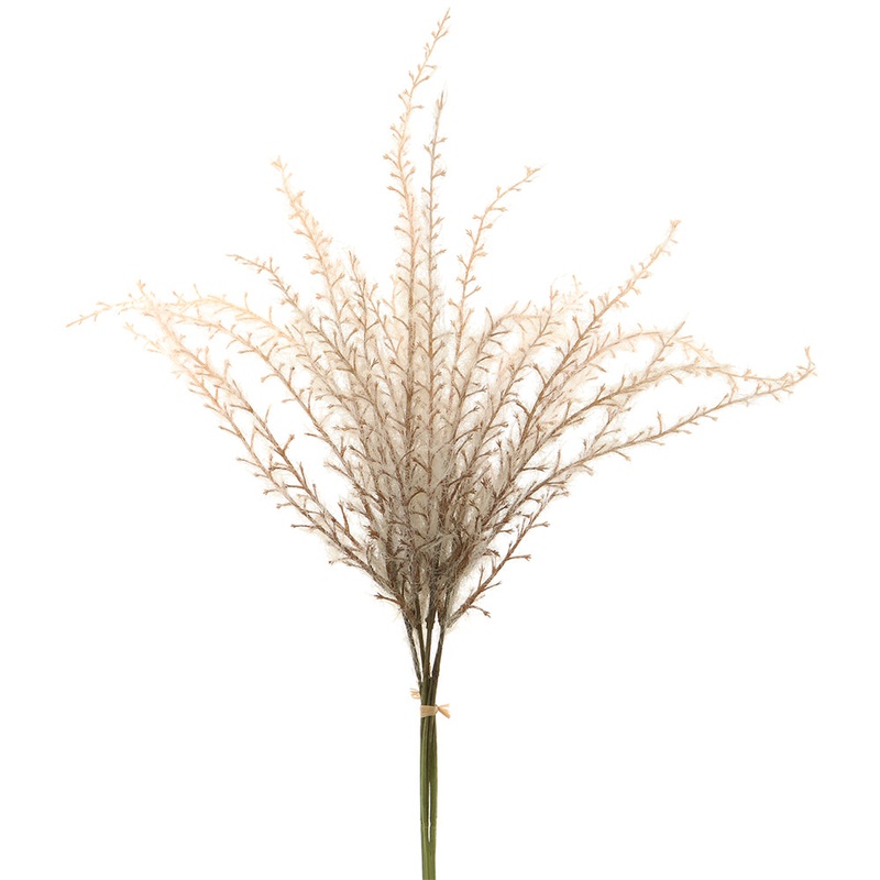Reed Grass Bundle – Beige