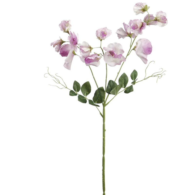 27″ Sweetpea Stem White Lavender