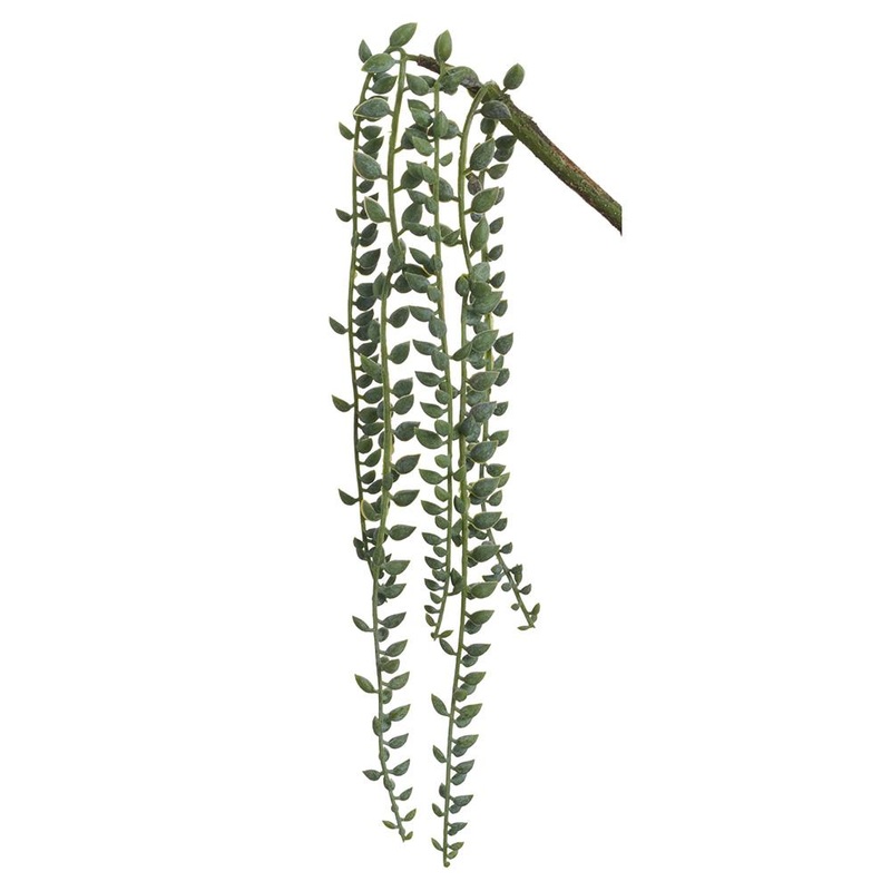 16″ Senecio Vine