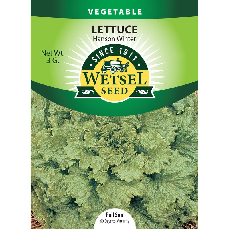Wetsel Seed Lettuce Hanson Improved Seed