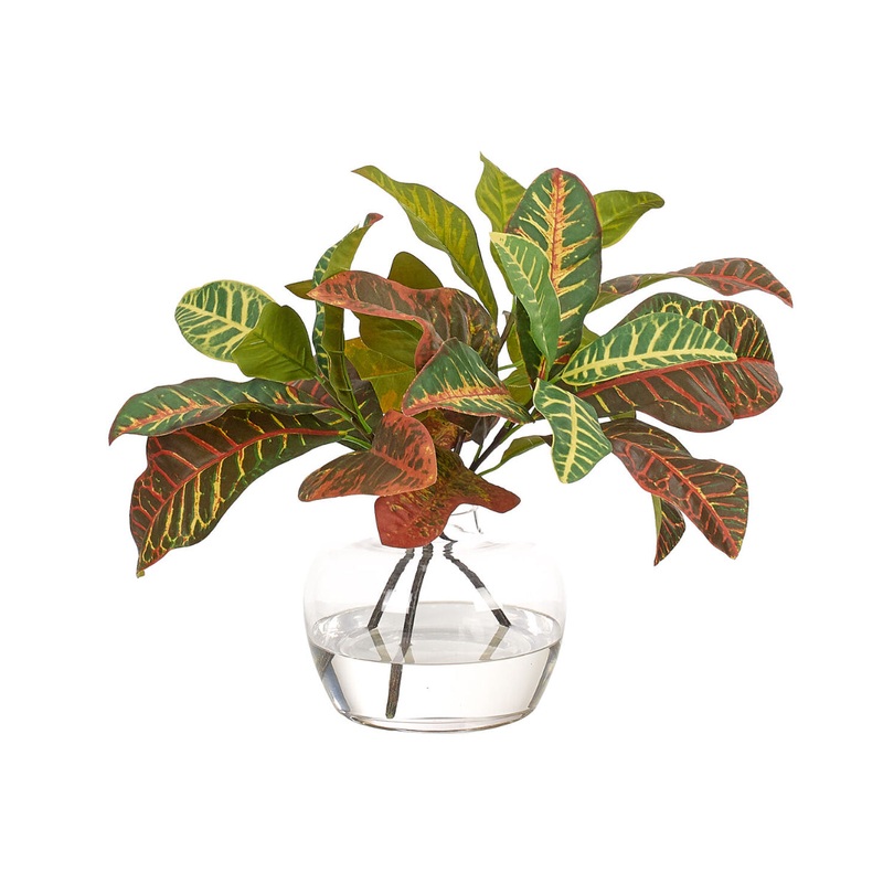 BURGUNDY CROTON