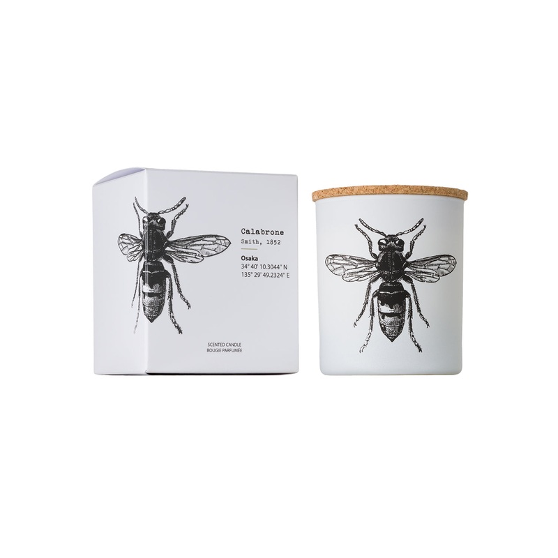 Candle in Jar INSECT  Wood Wick 190gr