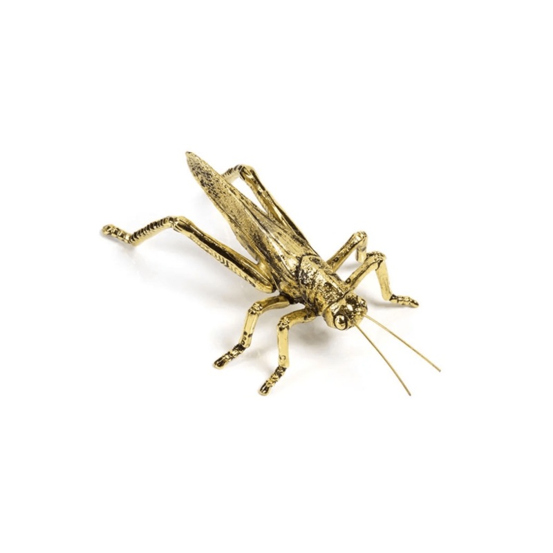 Gold Grasshopper
