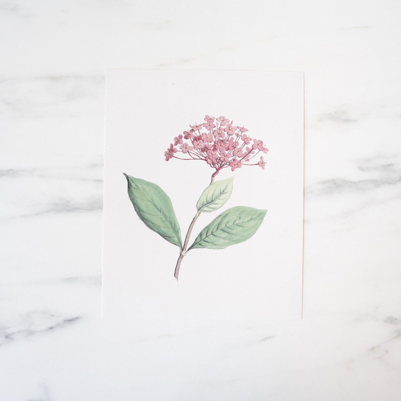 Floral Art Print