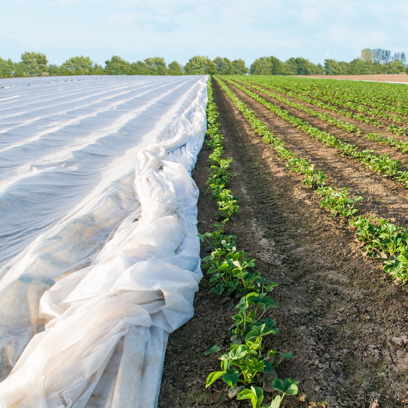 MegaGrow Bulk Row Cover 1.5 oz