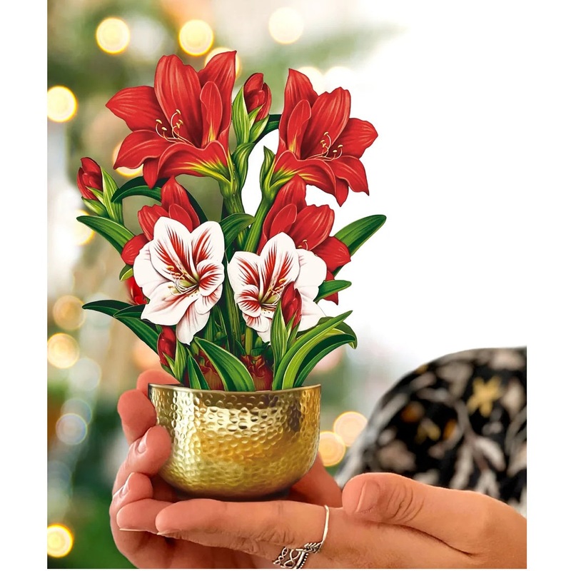 Christmas Pop Up MINI Card – Scarlet Amaryllis