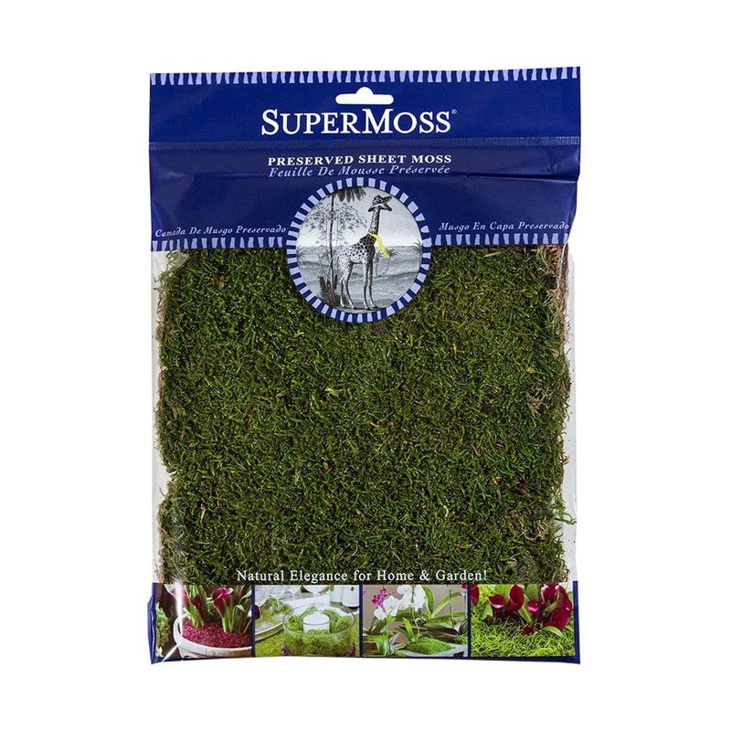 Preserved Sheet Moss