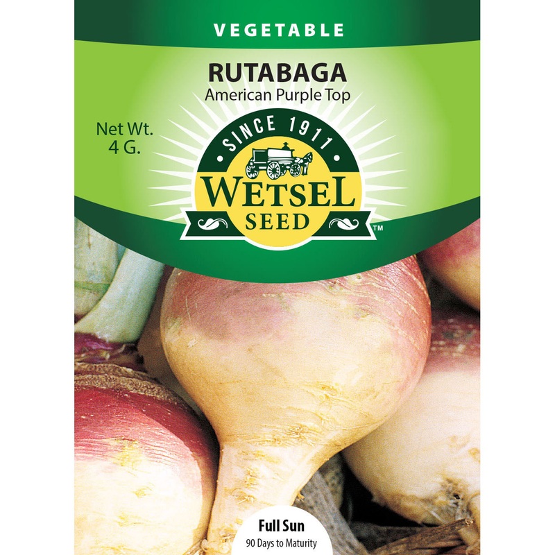 Wetsel Seed American Purple Top Rutabaga Seed