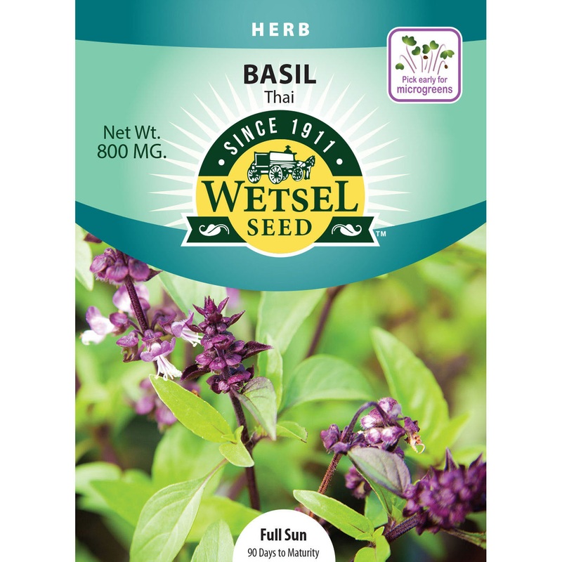Wetsel Seed Basil Thai Seed