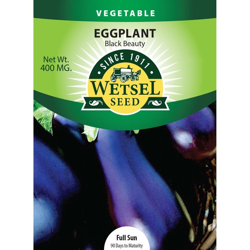 Wetsel Seed Eggplant Black Beauty Seed