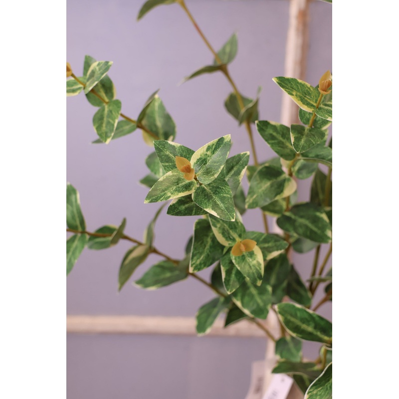 Captured In Time Foliage Stem