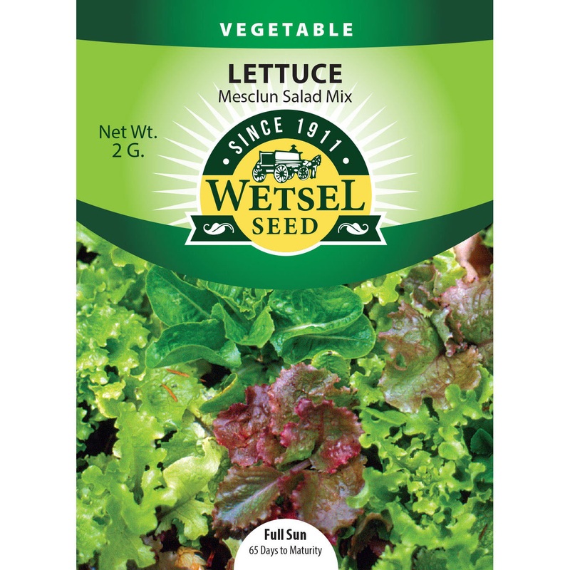 Wetsel Seed Mesclun Salad Mix Lettuce Seed