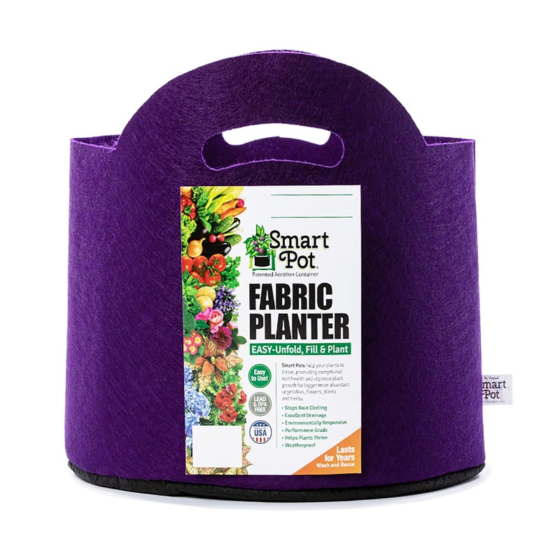 Smart Pot Bright Violet Small Fabric Planters