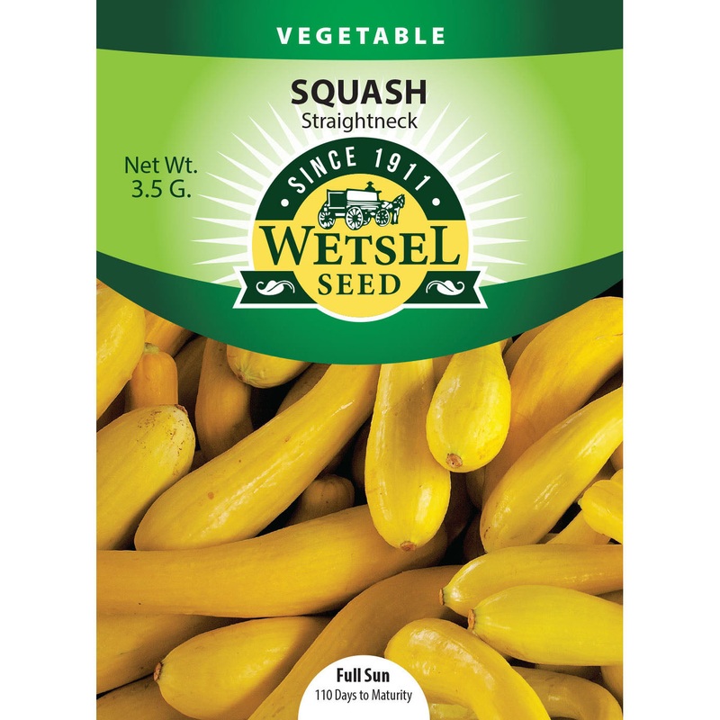 Wetsel Seed Squash Early Prolific Straightneck Seed