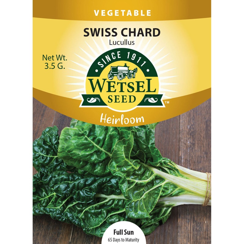 Wetsel Seed Heirloom Chard Lucullus Seed