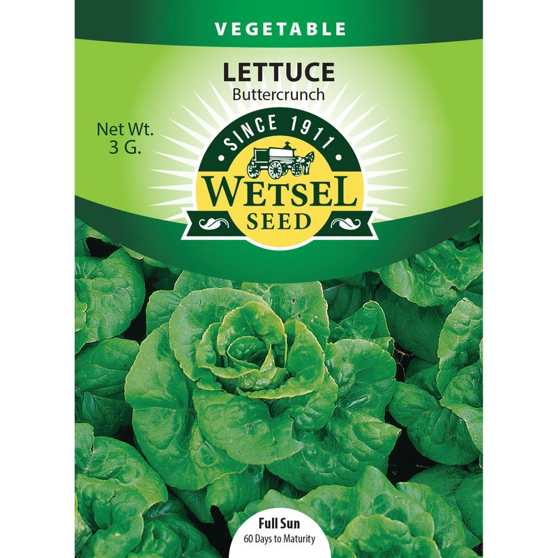 Wetsel Seed Lettuce Buttercrunch Seed