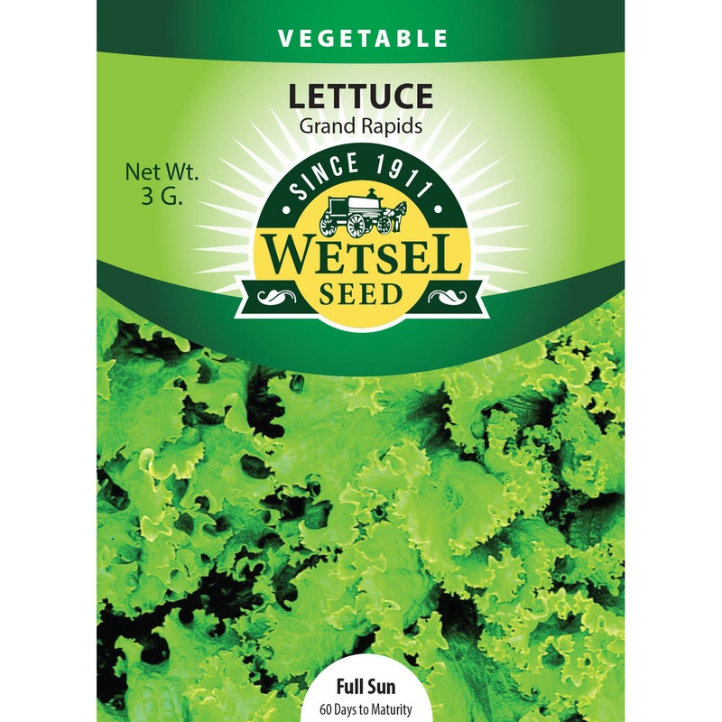 Wetsel Seed Lettuce Grand Rapids Seed