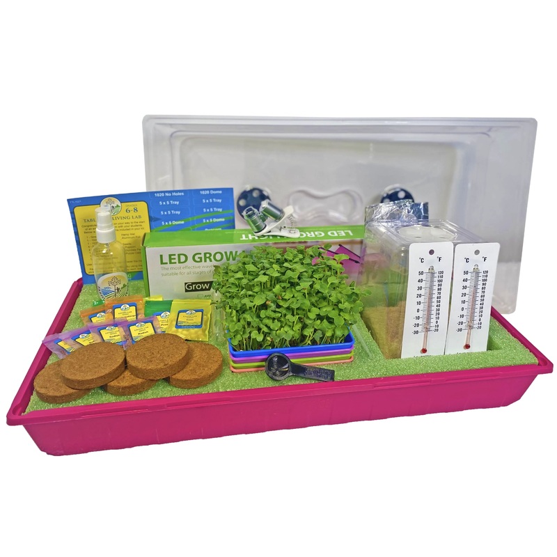 Grades 6-8 Tabletop Living Lab w/ Curriculum Subscription