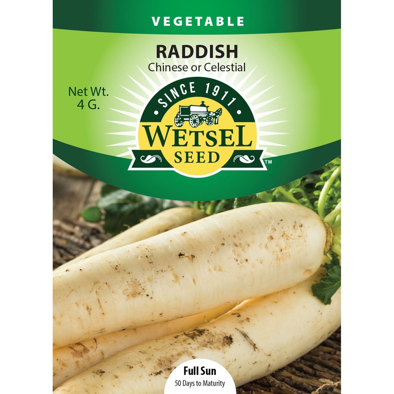 Wetsel Seed White Chinese Celestial Radish Seed