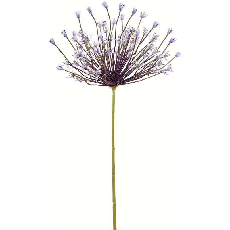 Giant Lavender Allium Spray