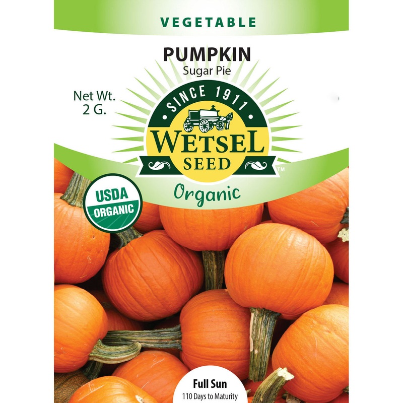 Wetsel Seed Organic Sugar Pie Pumpkin Seed