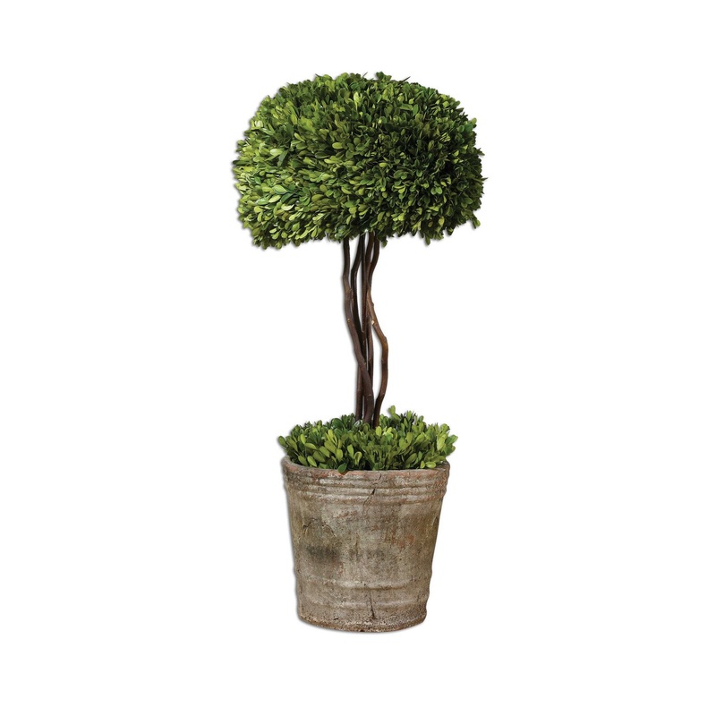 Preserved Boxwood Tree Topiary