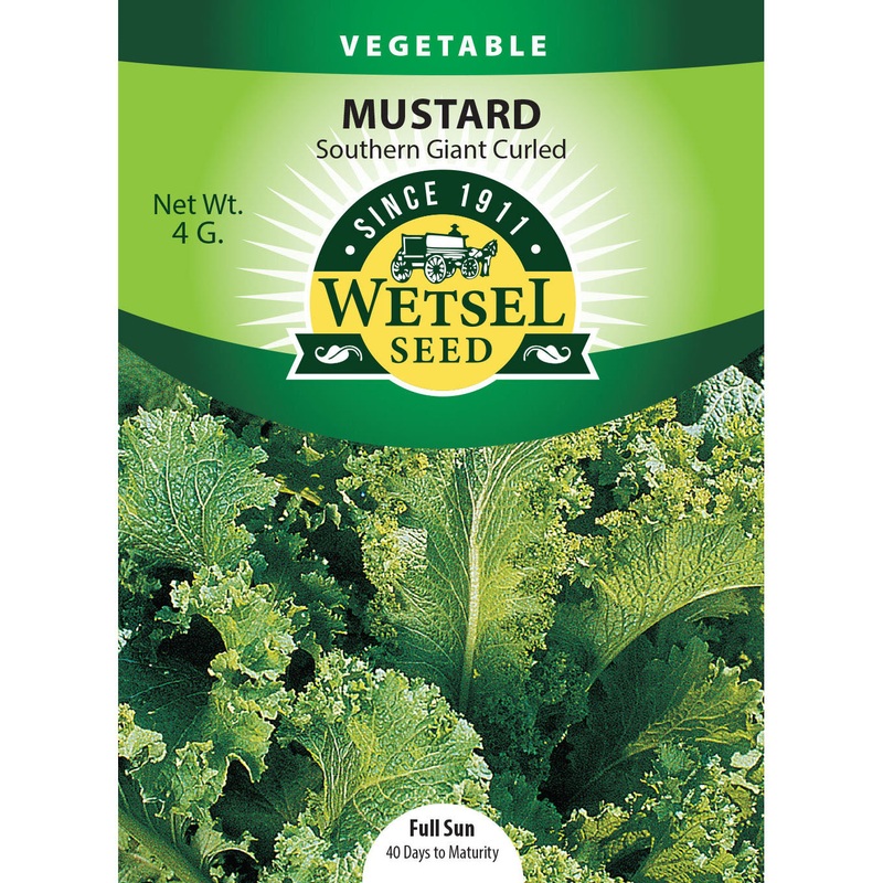 Wetsel Seed Mustard Southern Giant Curled Seed