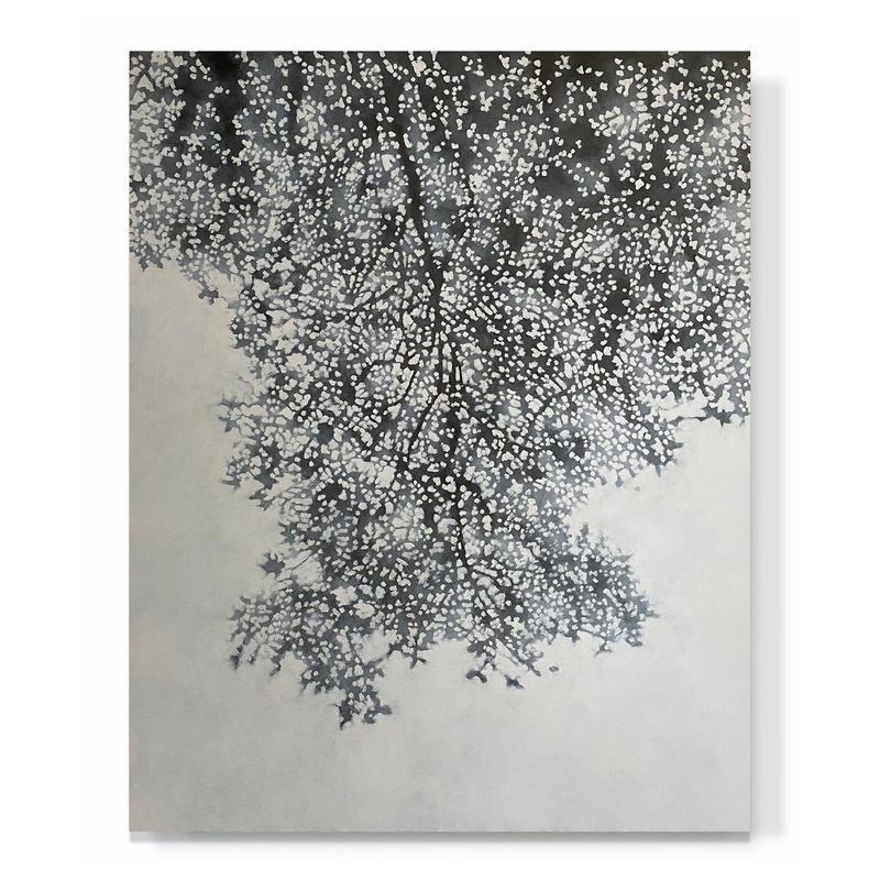 “Grey Canopy”