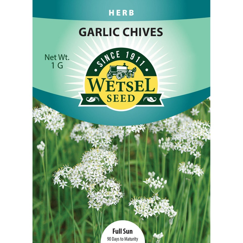Wetsel Seed Garlic Chives Seed