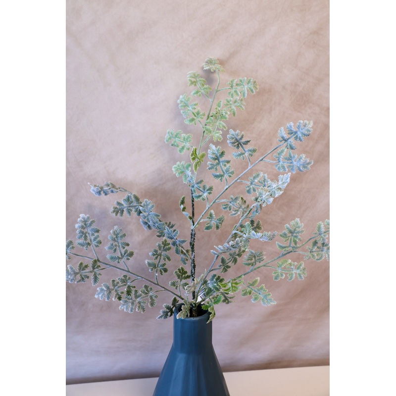 Featherfew Branch