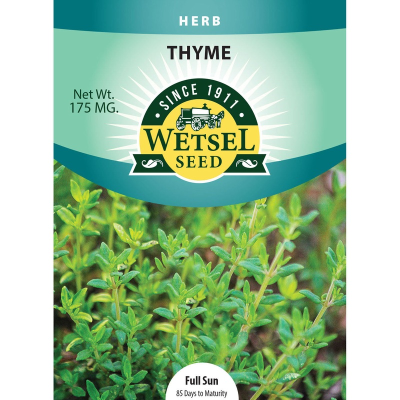 Wetsel Seed Thyme Seed