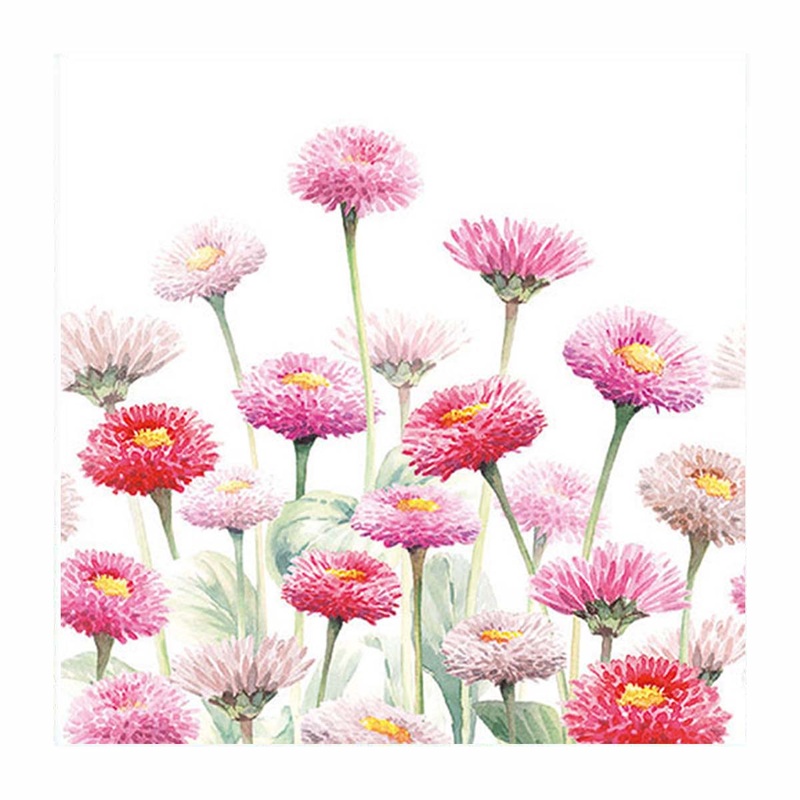Cocktail Napkins Painted bellis Set of 20