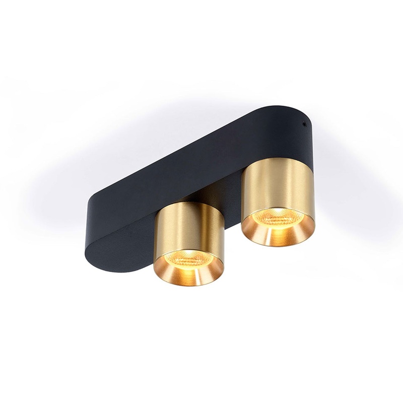 Trizo21 Audy-Duo 2 Up Rounded Surface Spotlight