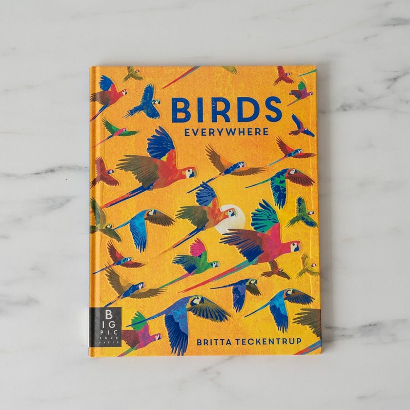 “Birds Everywhere” by Camilla de la Bedoyere