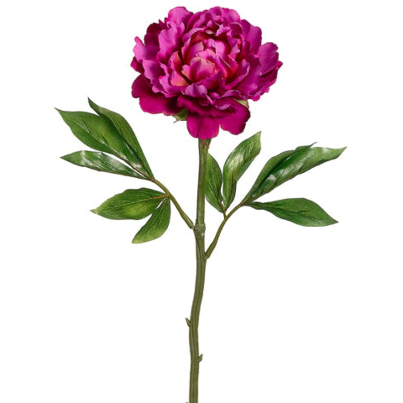 Peony Stem Hot Pink