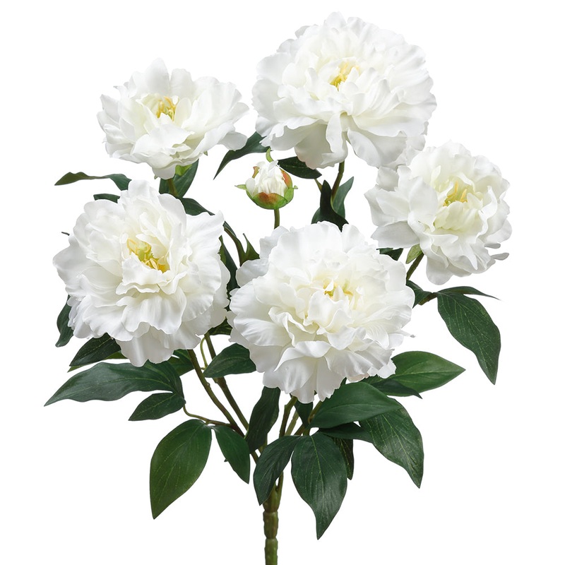 Peony Bunch – White