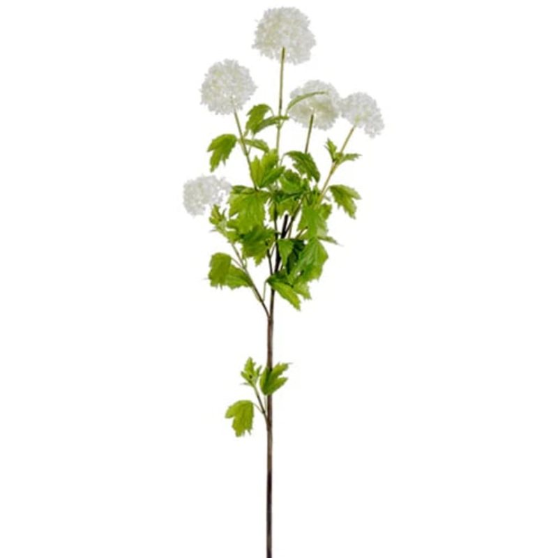 38″ Snowball Viburnum Branch