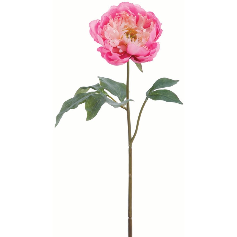 Pink Ombre Peony Spray