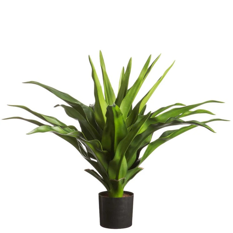 31″ Agave Plant