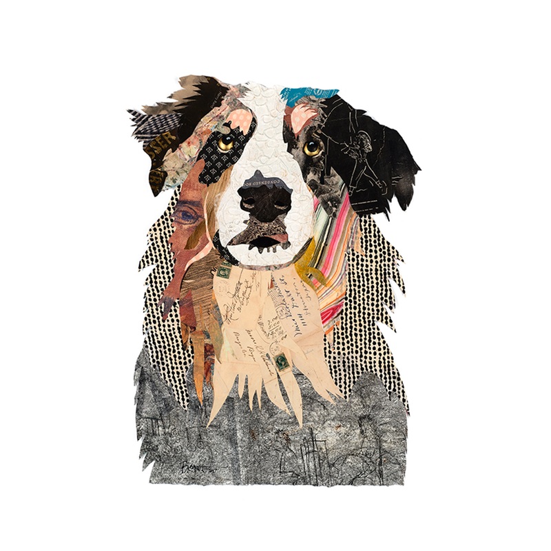 “Australian Shepard” Archival Print