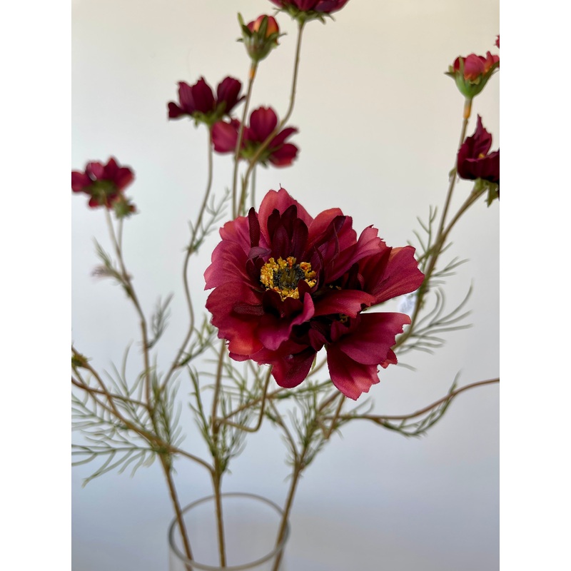 Burgundy Cosmos Spray With Bud