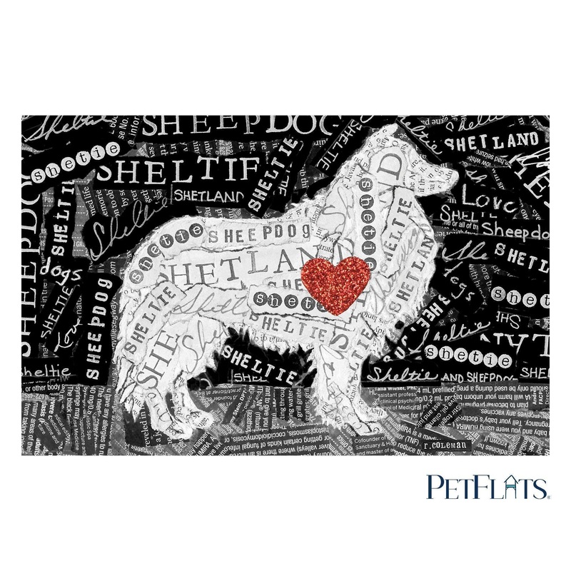* Sheltie 18×28 PetFlat – *Final Sale* PERFECT