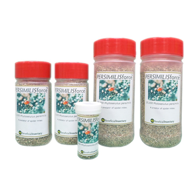 PERMSIMILISforce for Spider Mite Control